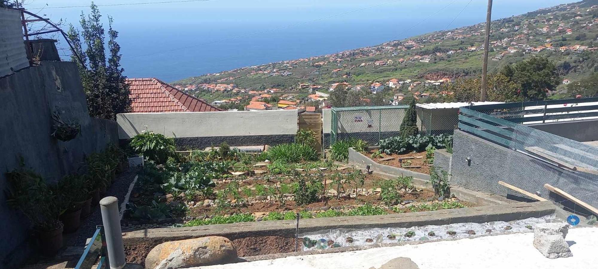 Casa Monte De Paz Calheta  Εξωτερικό φωτογραφία