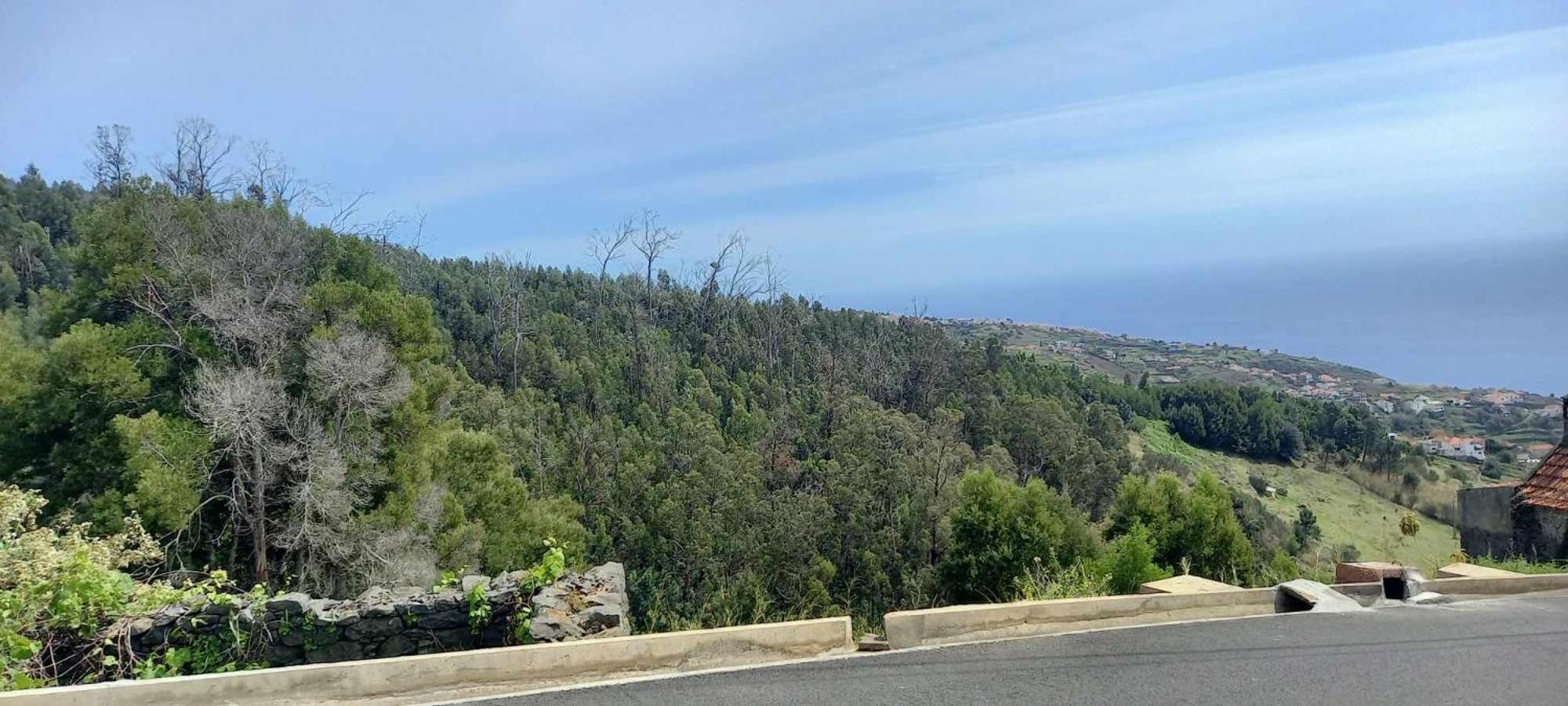 Casa Monte De Paz Calheta  Εξωτερικό φωτογραφία